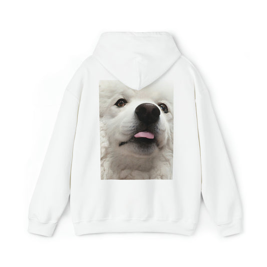 Treat Frank Unisex Heavy Blend™ Hooded Sweatshirt
