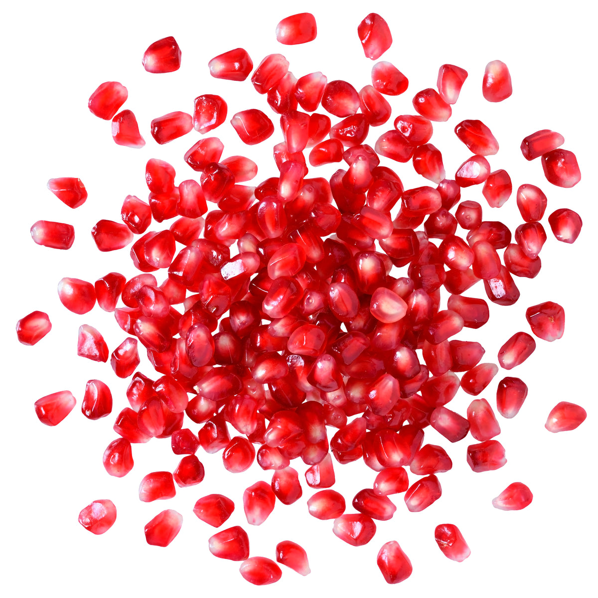 Pomegranate Jumbo Lip Balm 